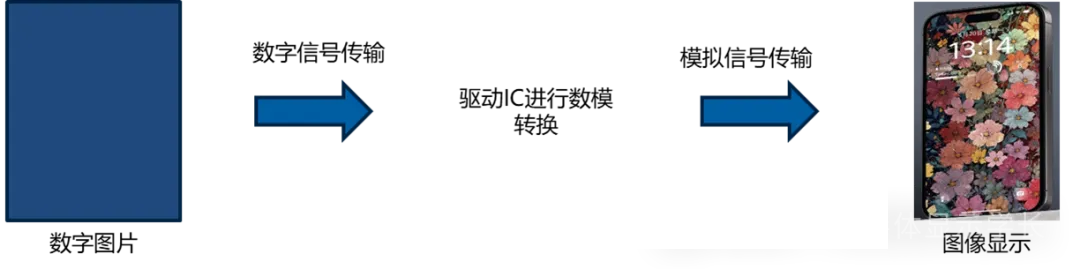 64066bnsw.png 64066bnsw.png